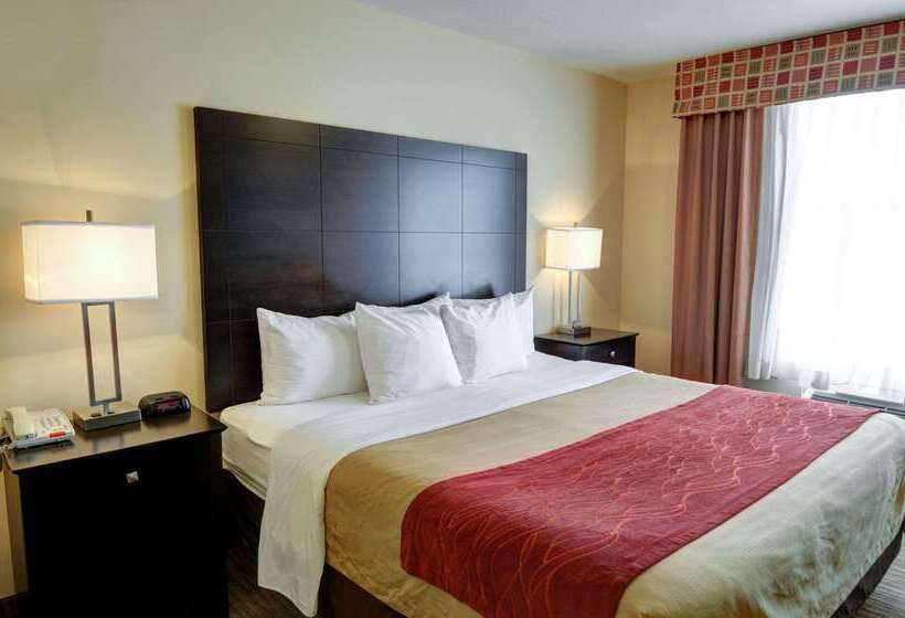 호텔 Comfort Inn & Suites