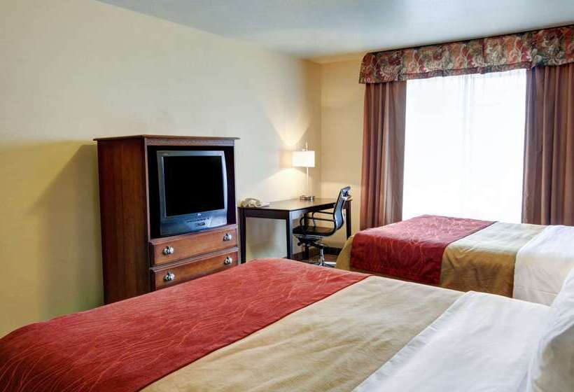 호텔 Comfort Inn & Suites