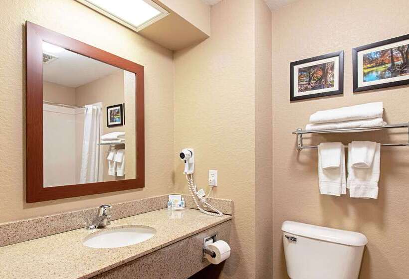 ホテル Comfort Inn & Suites And Suites Fredericksburg