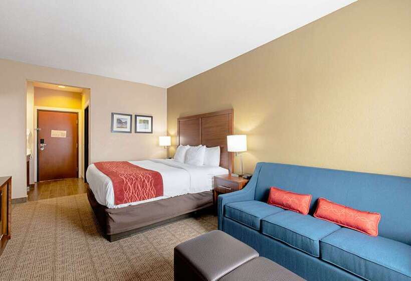 ホテル Comfort Inn & Suites And Suites Fredericksburg