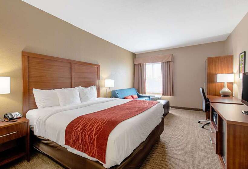 ホテル Comfort Inn & Suites And Suites Fredericksburg