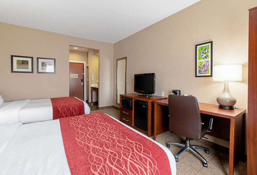 ホテル Comfort Inn & Suites And Suites Fredericksburg