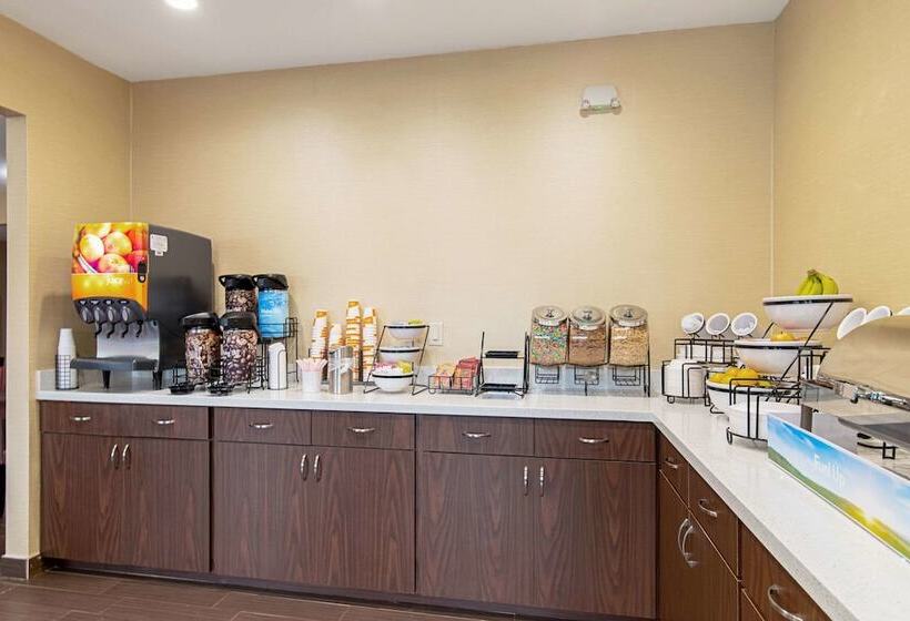 ホテル Comfort Inn & Suites And Suites Fredericksburg