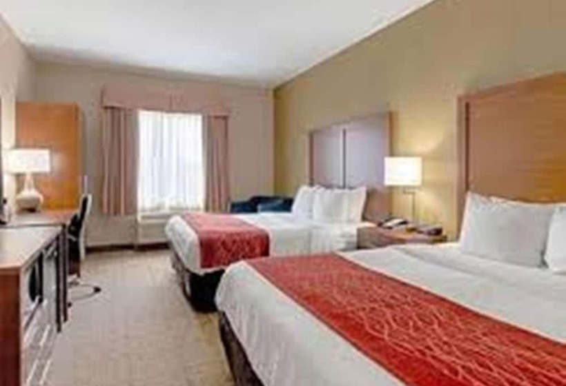 ホテル Comfort Inn & Suites And Suites Fredericksburg