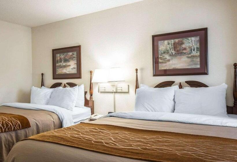 فندق Comfort Inn & Suites At I 85