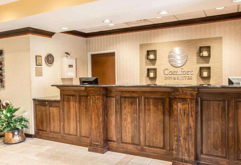 فندق Comfort Inn & Suites At I 85