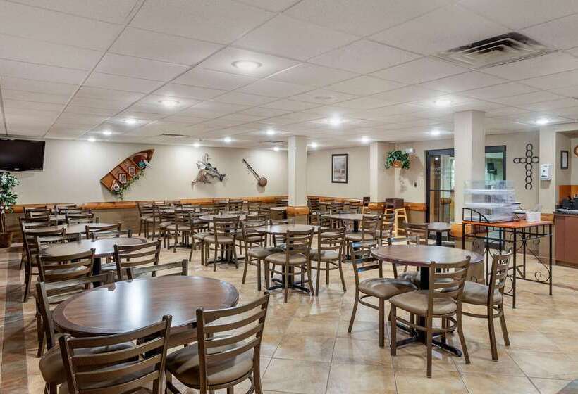 فندق Comfort Inn & Suites Branson Meadows