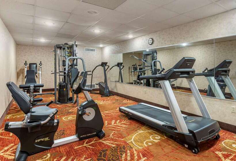 فندق Comfort Inn & Suites Branson Meadows