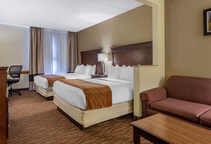 فندق Comfort Inn & Suites Branson Meadows