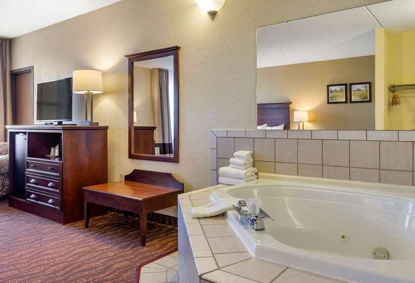 فندق Comfort Inn & Suites Branson Meadows