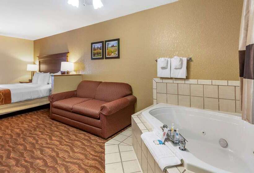 בית מלון כפרי Comfort Inn & Suites Branson Meadows