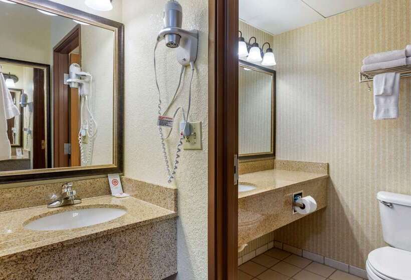فندق Comfort Inn & Suites Branson Meadows