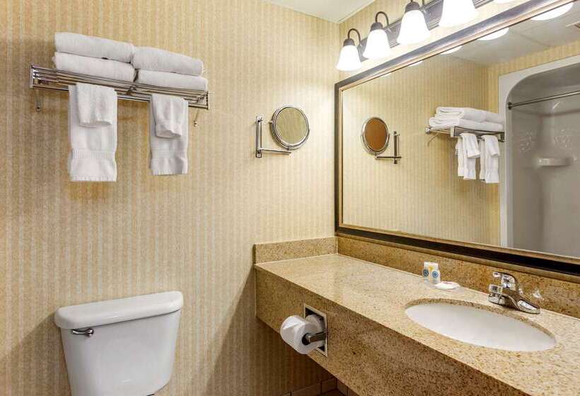 فندق Comfort Inn & Suites Branson Meadows