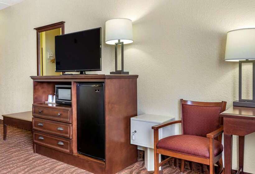 فندق Comfort Inn & Suites Branson Meadows