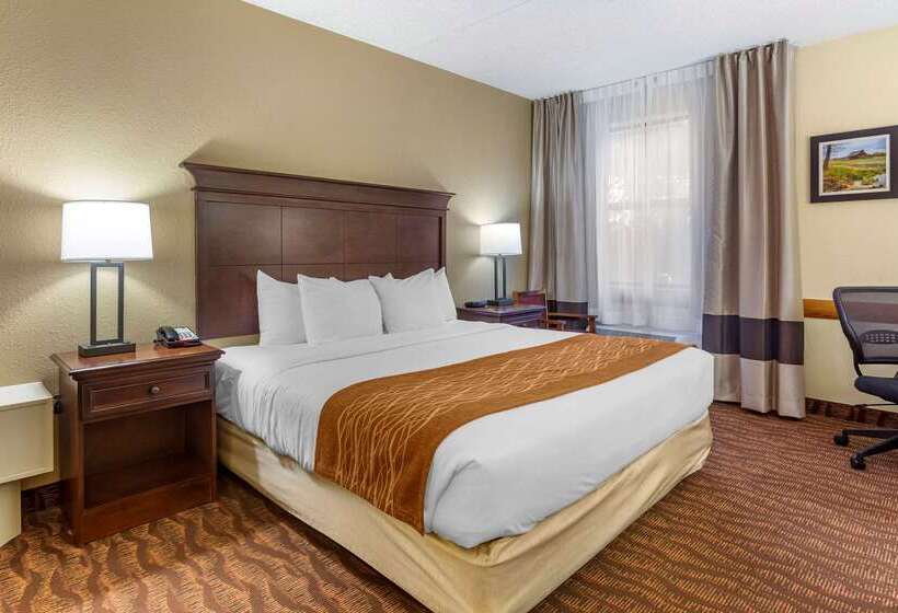 فندق Comfort Inn & Suites Branson Meadows