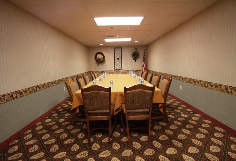 فندق Comfort Inn & Suites Branson Meadows