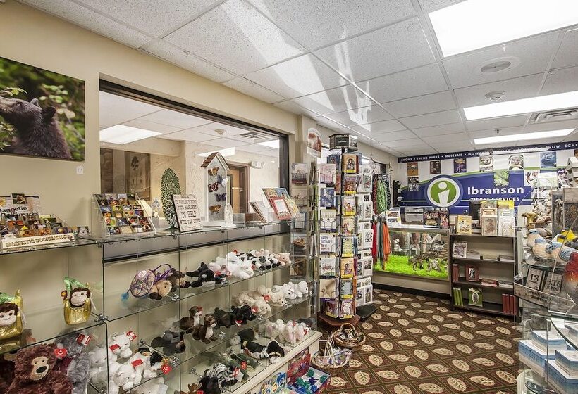 فندق Comfort Inn & Suites Branson Meadows