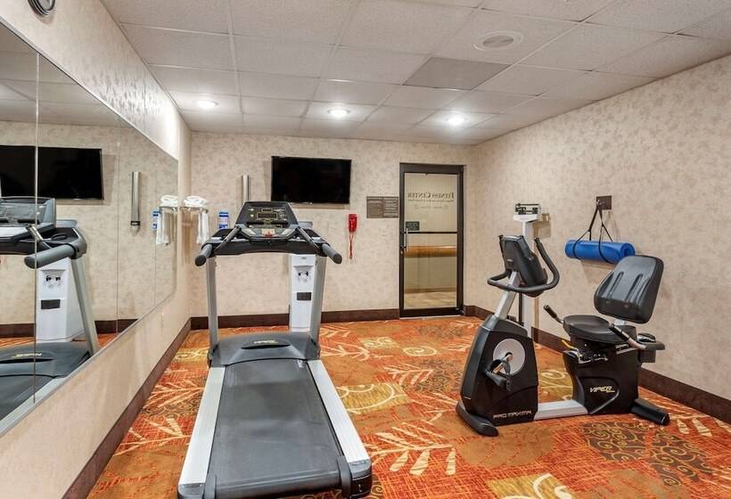 فندق Comfort Inn & Suites Branson Meadows