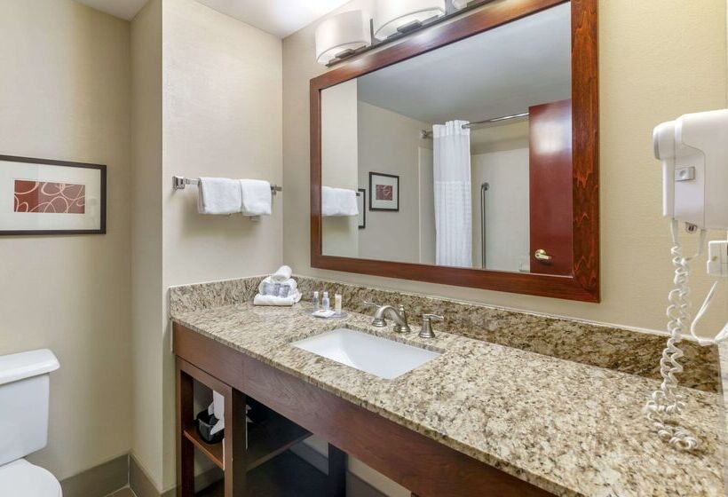 فندق Comfort Inn & Suites Christiansburg I 81