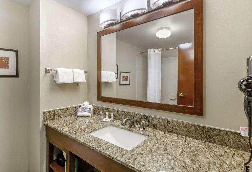 فندق Comfort Inn & Suites Christiansburg I 81