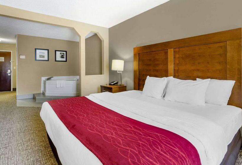 فندق Comfort Inn & Suites Christiansburg I 81
