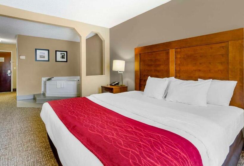 فندق Comfort Inn & Suites Christiansburg I 81