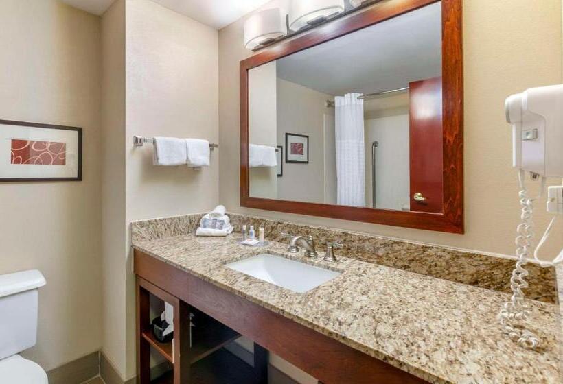 فندق Comfort Inn & Suites Christiansburg I 81
