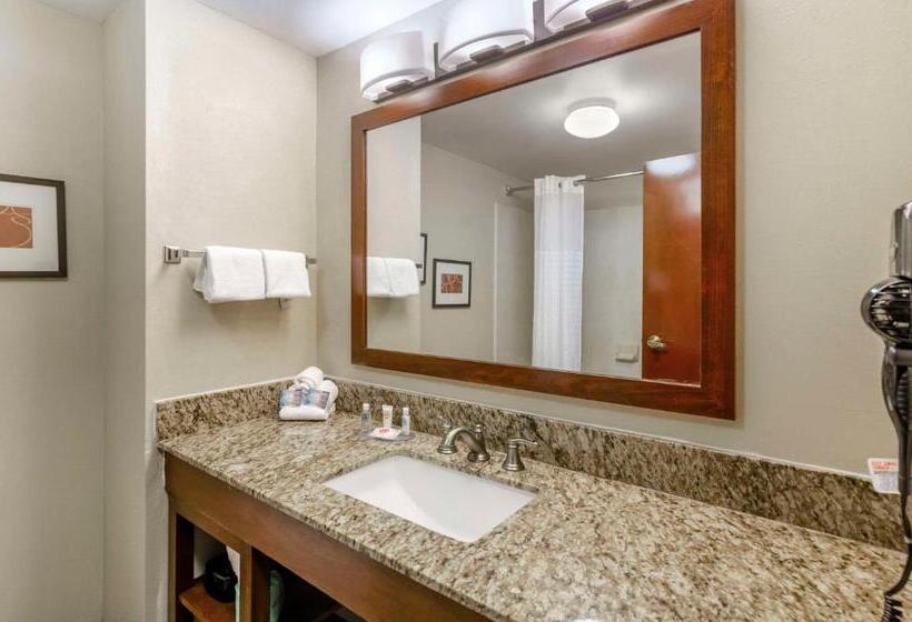 Отель Comfort Inn & Suites Christiansburg I 81