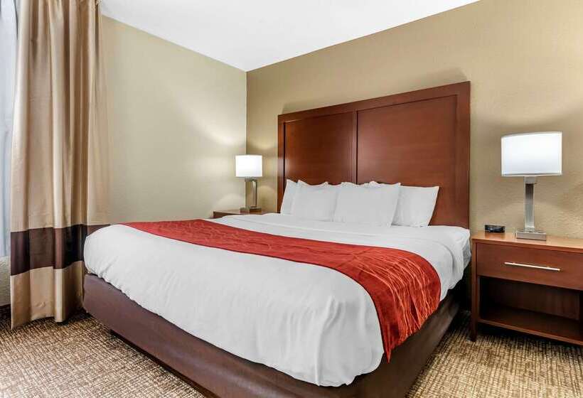 酒店 Comfort Inn & Suites Cincinnati Eastgate