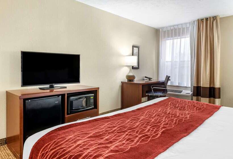 酒店 Comfort Inn & Suites Cincinnati Eastgate