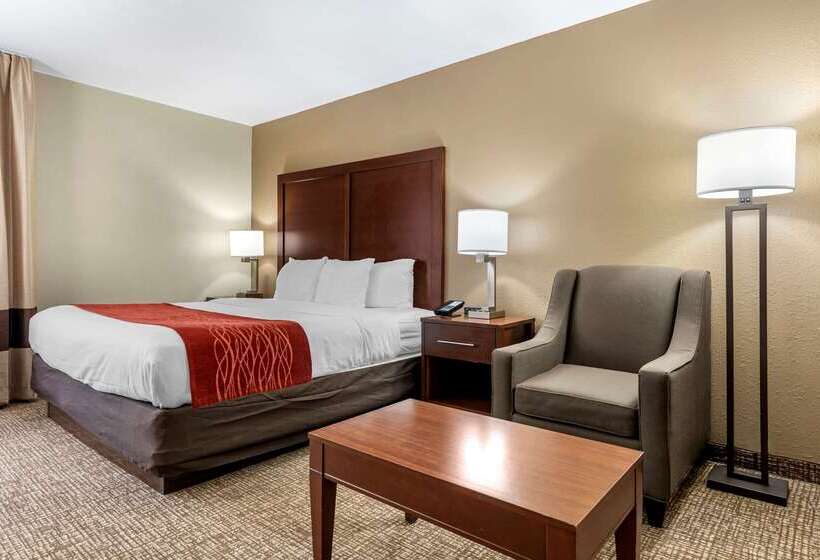 酒店 Comfort Inn & Suites Cincinnati Eastgate