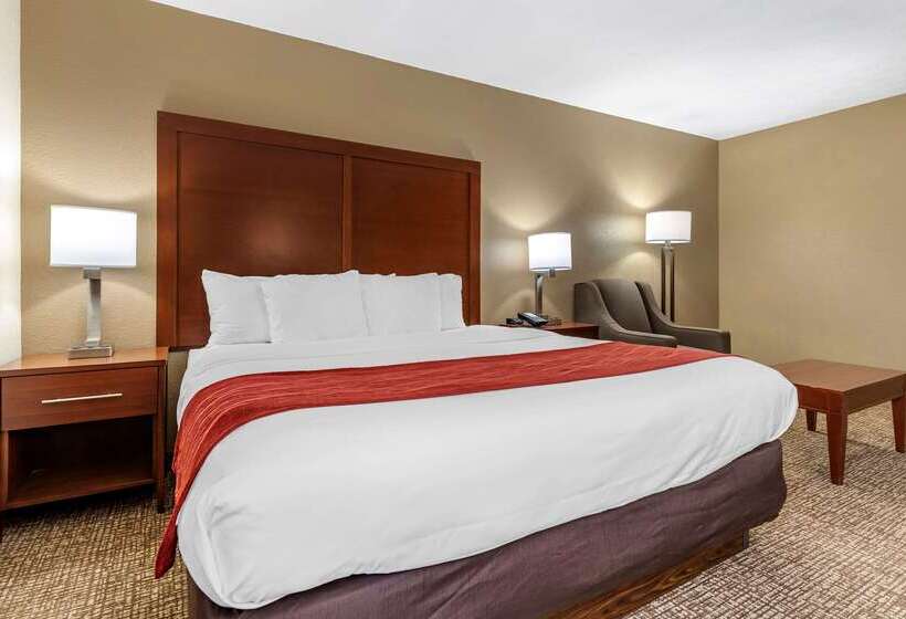 酒店 Comfort Inn & Suites Cincinnati Eastgate