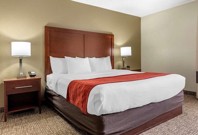 酒店 Comfort Inn & Suites Cincinnati Eastgate
