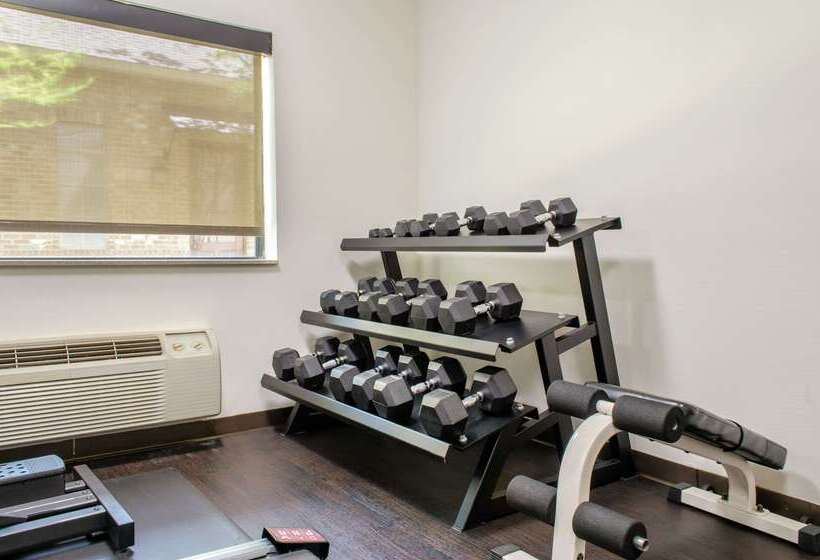 בית מלון כפרי Comfort Inn & Suites Covington   Mandeville