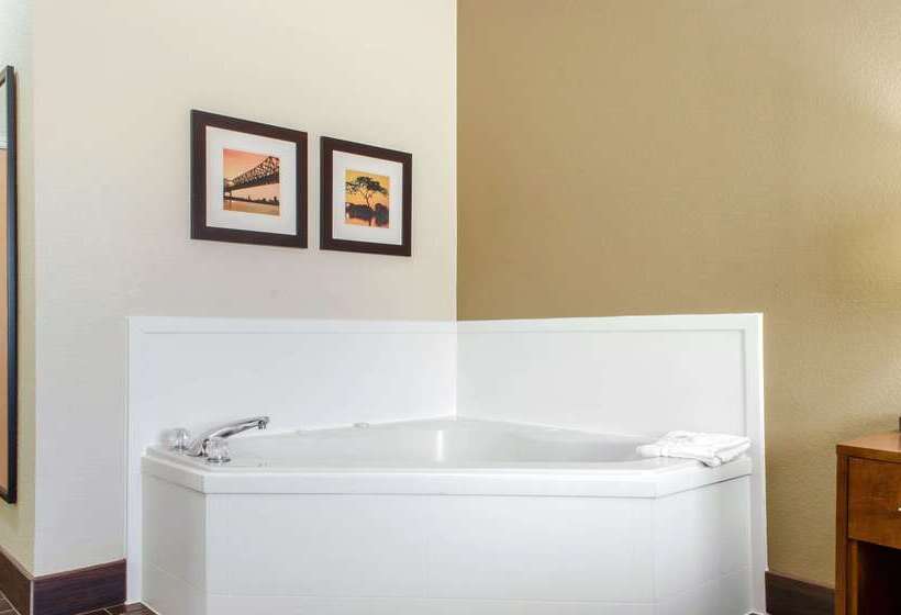 בית מלון כפרי Comfort Inn & Suites Covington   Mandeville