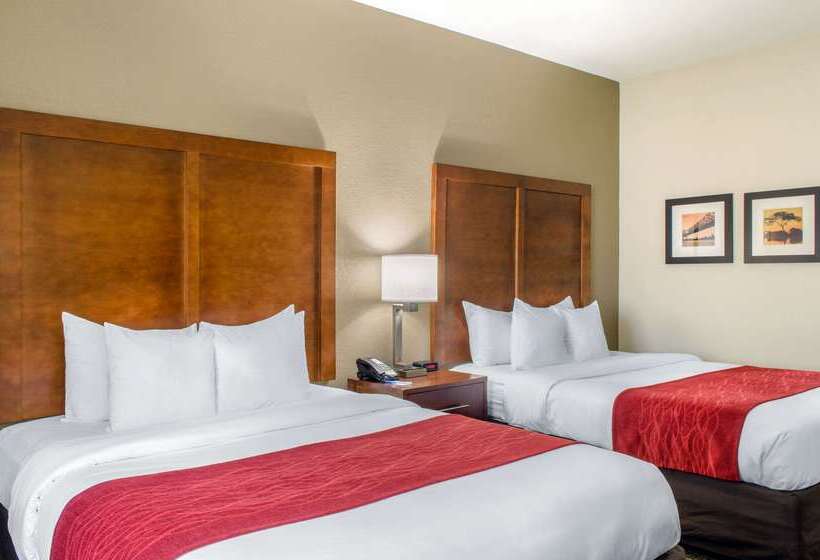בית מלון כפרי Comfort Inn & Suites Covington   Mandeville