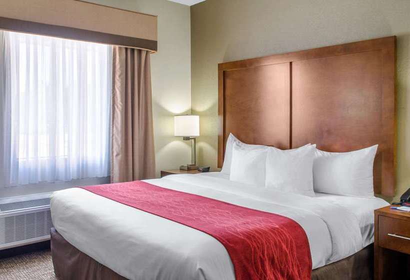 فندق Comfort Inn & Suites Covington   Mandeville