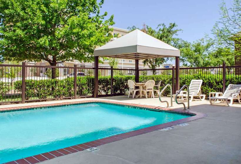 בית מלון כפרי Comfort Inn & Suites Covington   Mandeville