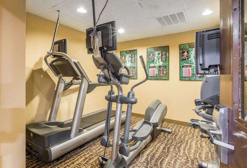 فندق Comfort Inn & Suites