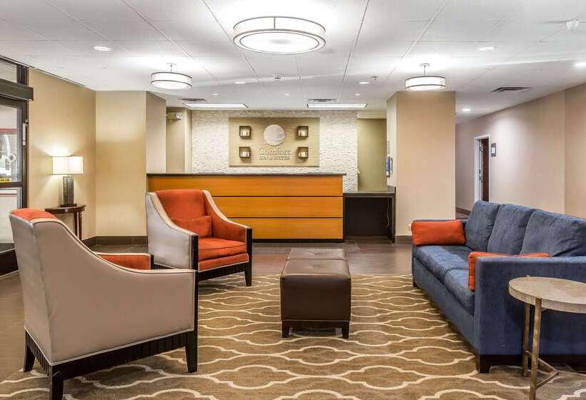 فندق Comfort Inn & Suites