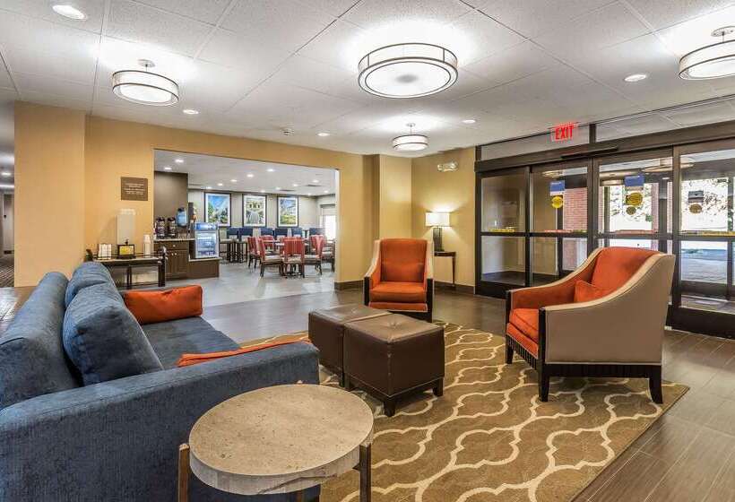 فندق Comfort Inn & Suites