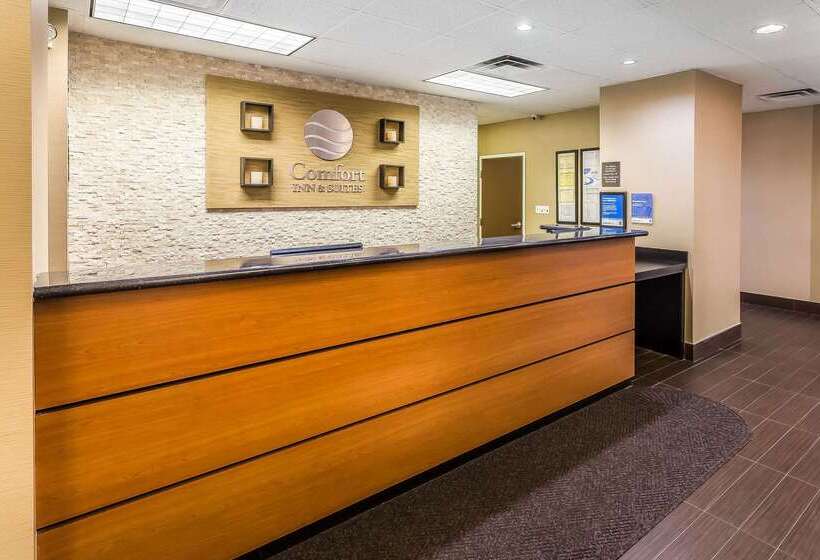 فندق Comfort Inn & Suites