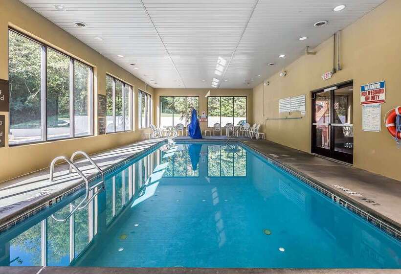 فندق Comfort Inn & Suites