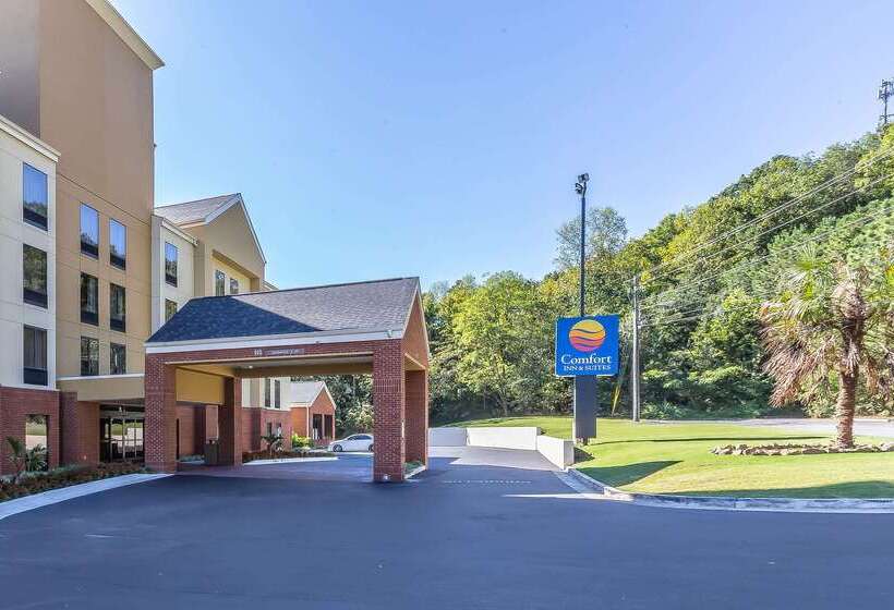 فندق Comfort Inn & Suites