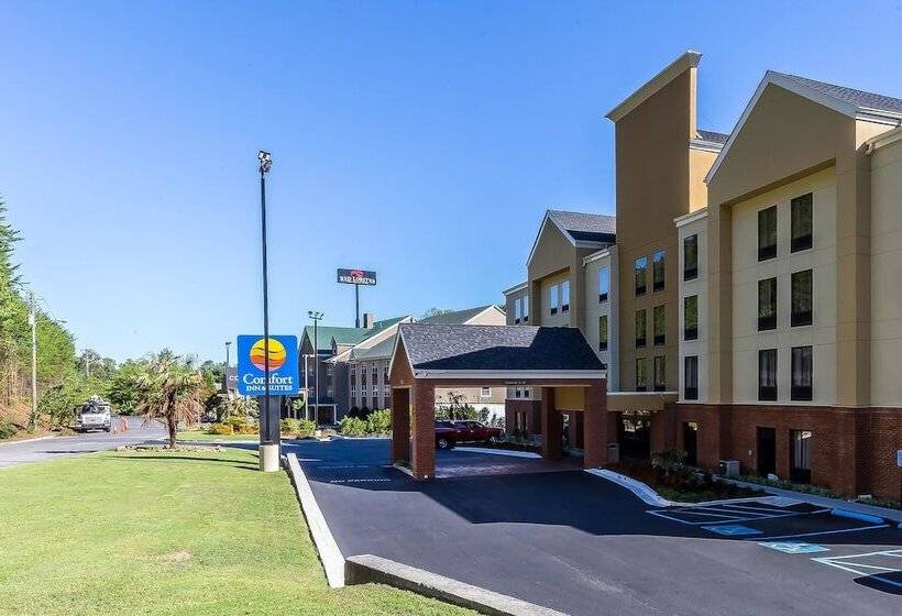 فندق Comfort Inn & Suites