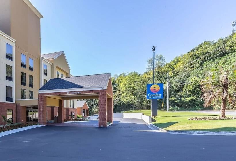 فندق Comfort Inn & Suites