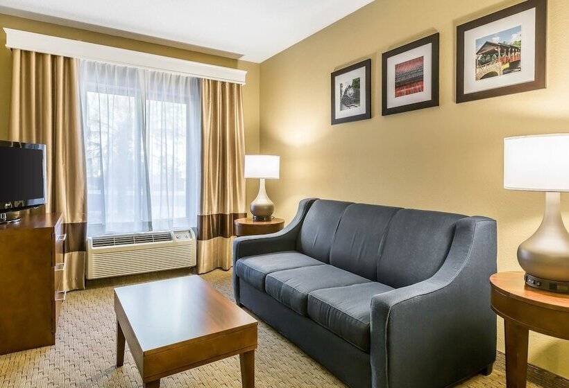 فندق Comfort Inn & Suites