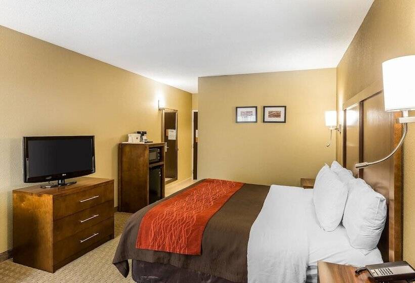 فندق Comfort Inn & Suites