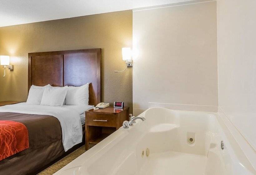 فندق Comfort Inn & Suites