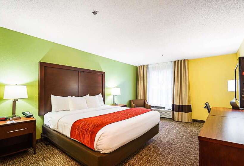 ホテル Comfort Inn & Suites